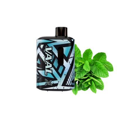 VAAL E5000 Mint (М'ята) Одноразовий POD