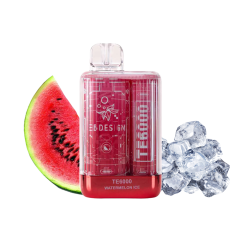 Elf Bar TE6000 Watermelon ice (Кавун Льод) Одноразовий POD