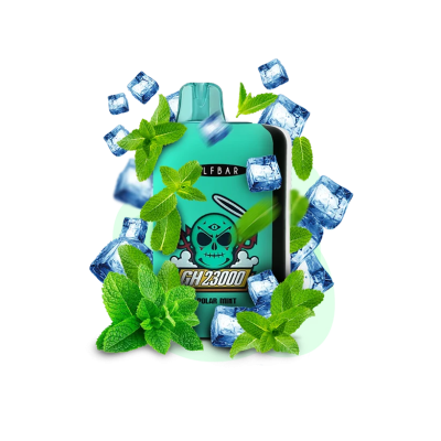Elf Bar GH 23000 Polar Mint (Лёд Мята) Одноразовый POD