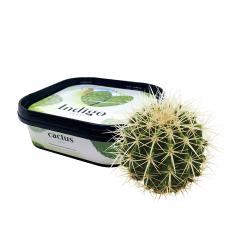 Кальянна чайна суміш Indigo Smoke Cactus (Кактус, 100 г)