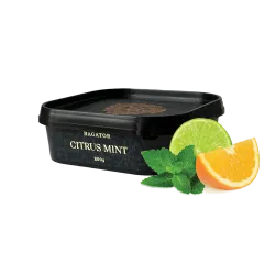 Табак Bagator Citrus Mint (Цитрус Мята, 200 г)