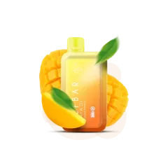 Elf Bar Raya D1 13000 Double Mango (Дабл Манго) Одноразовый POD