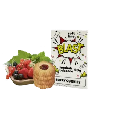 Тютюн Blast Smoke Light Line Berry cookies (Ягідне печиво, 50 г)