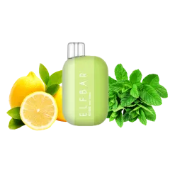 Elf Bar Ri3000 Mint Lemon (Мята Лимон) Одноразовый POD