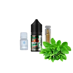 Набор для самозамеса In Bottle Salt Spearmint (Мята, 50 мг, 30 мл)