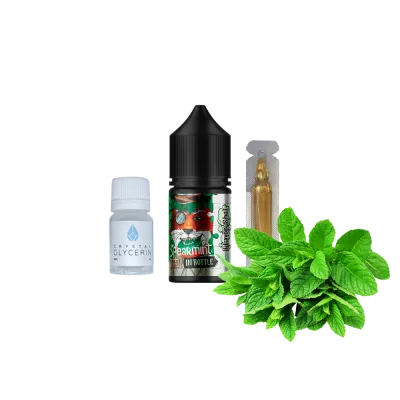 Набор для самозамеса In Bottle Salt Spearmint (Мята, 50 мг, 30 мл)