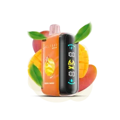 Elf Bar Raya D3 25000 Double Mango (Двойное Манго) Одноразовый POD